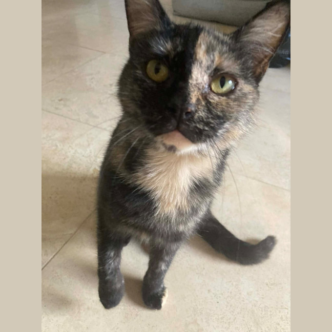 Photo of Chirp Side Park Shopping Centre