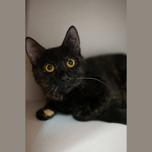 Photo of Baby