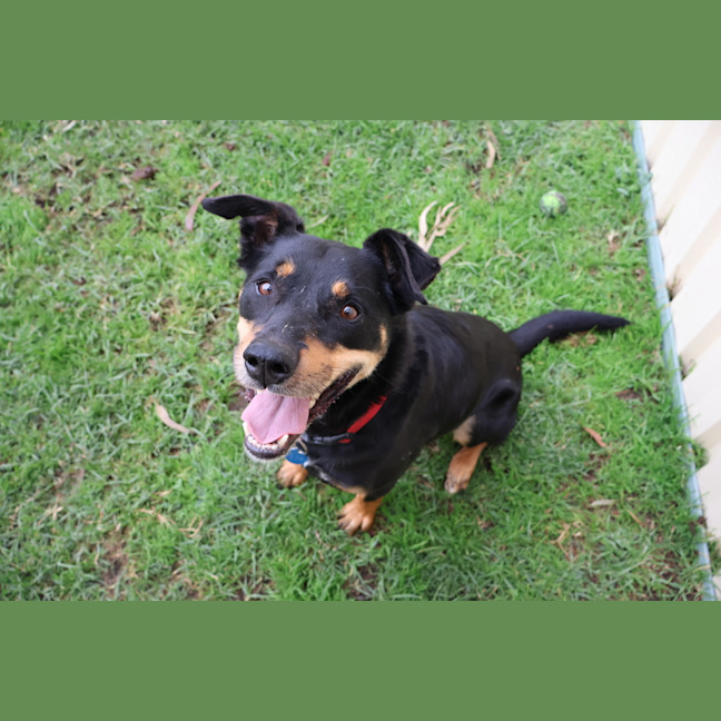 Photo of Muster