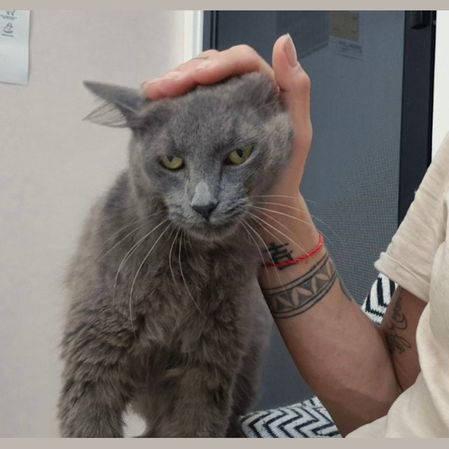 Photo of Delilah (9962)