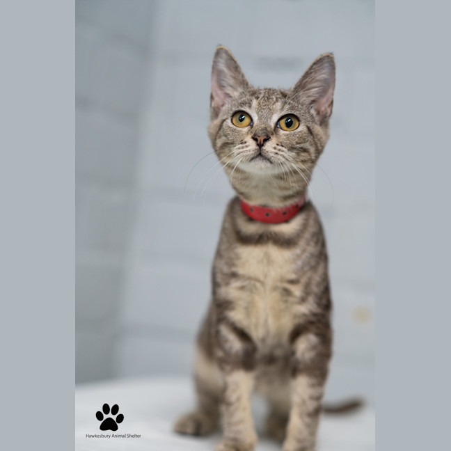 Photo of Wendy