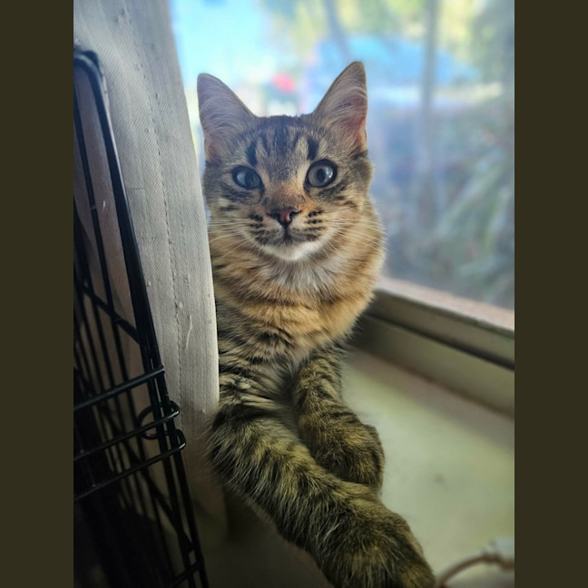 Photo of Kiara