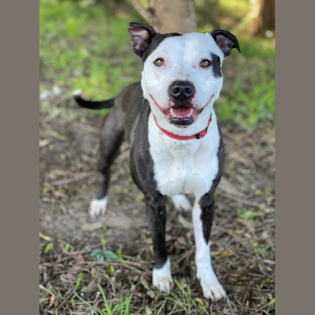 Photo of Bonnie
