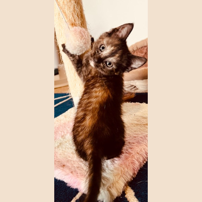Photo of Evie