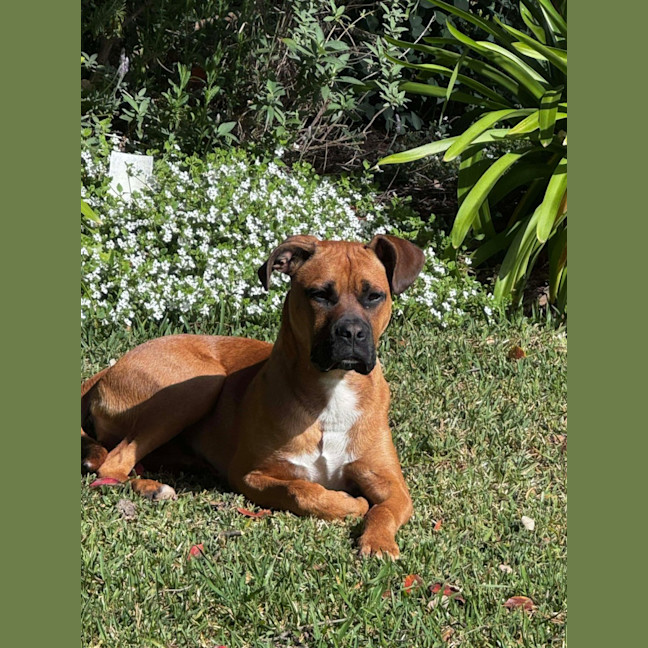 Photo of Raffy