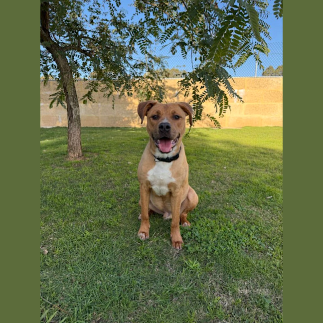 Photo of Tex