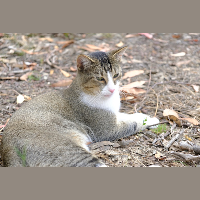 Photo of Spook