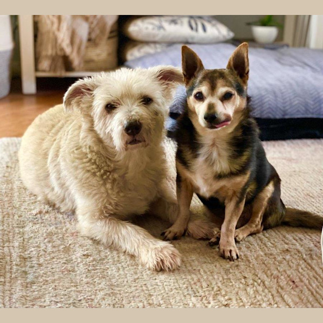 Photo of Miguel Kumara