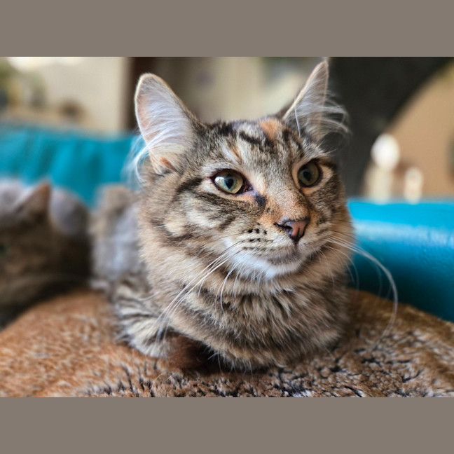 Photo of Sophie 🌺🌺