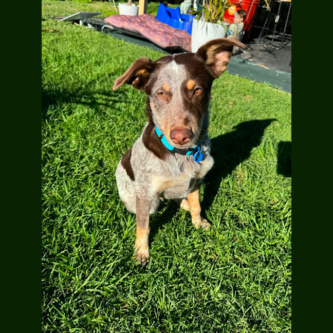 Photo of Cash