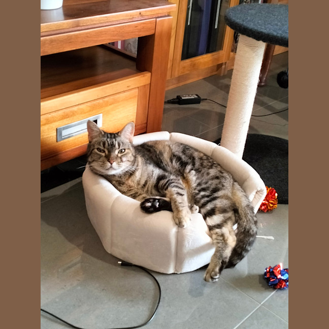 Photo of Bonnie