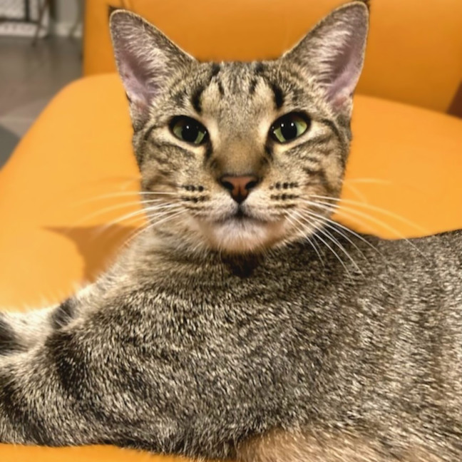 Photo of Freda