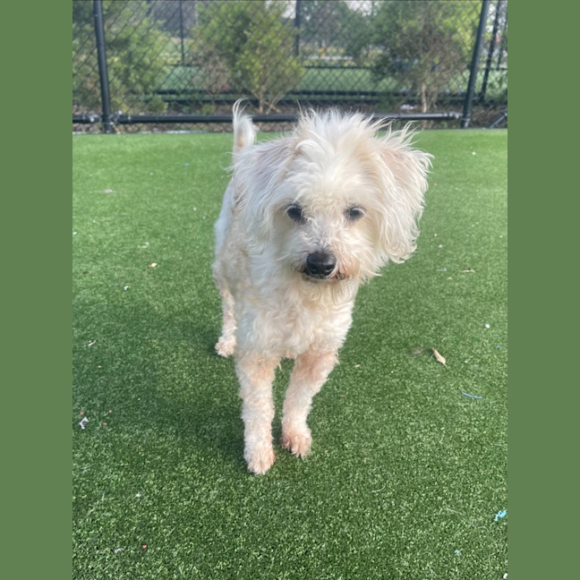 Photo of Sophie Imp 1538