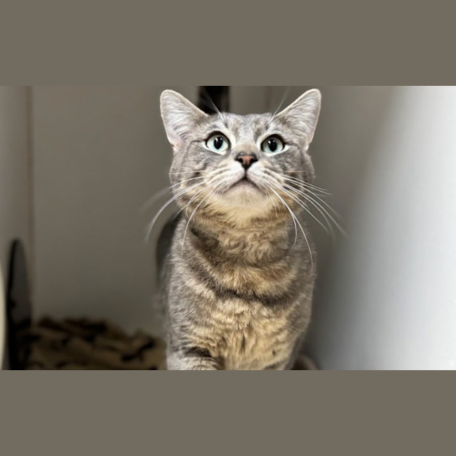 Photo of Thomas