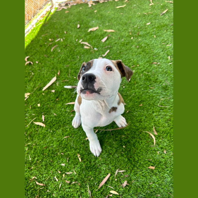 Photo of Zolly
