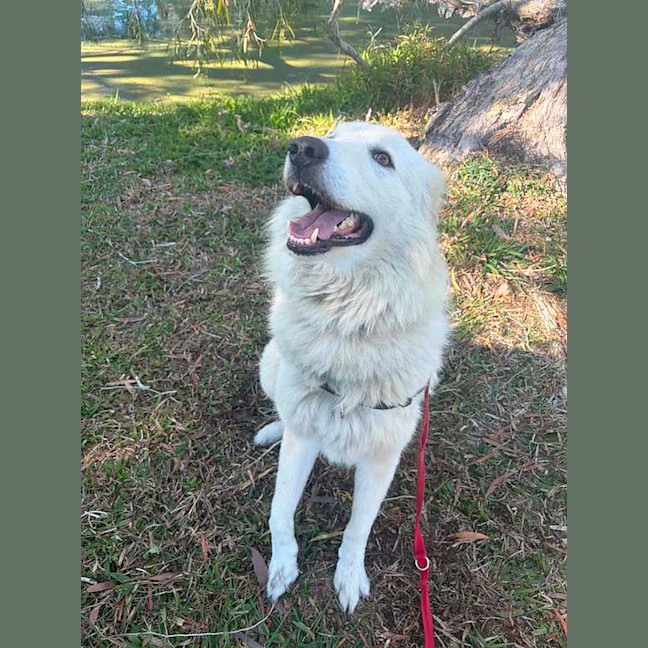 Photo of Fen Fenrir