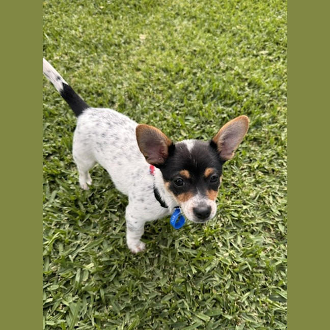Photo of Bonnie