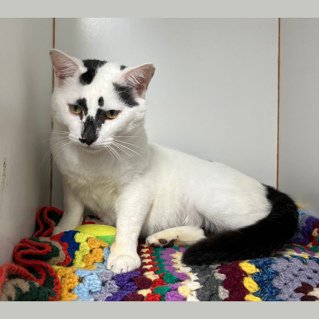Photo of Sootie