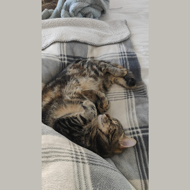 Photo of Ivy