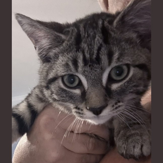 Photo of Zeus