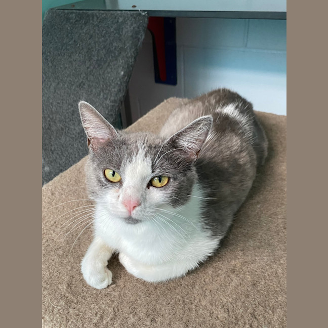 Photo of Cassie
