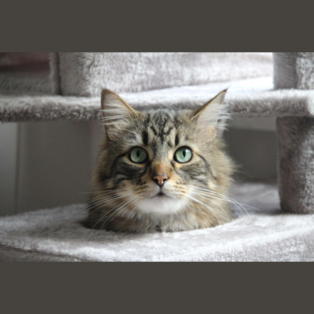 Photo of Bob Dylan 🎸