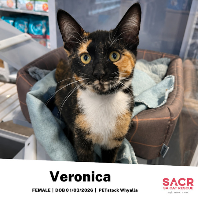 Photo of Veronica