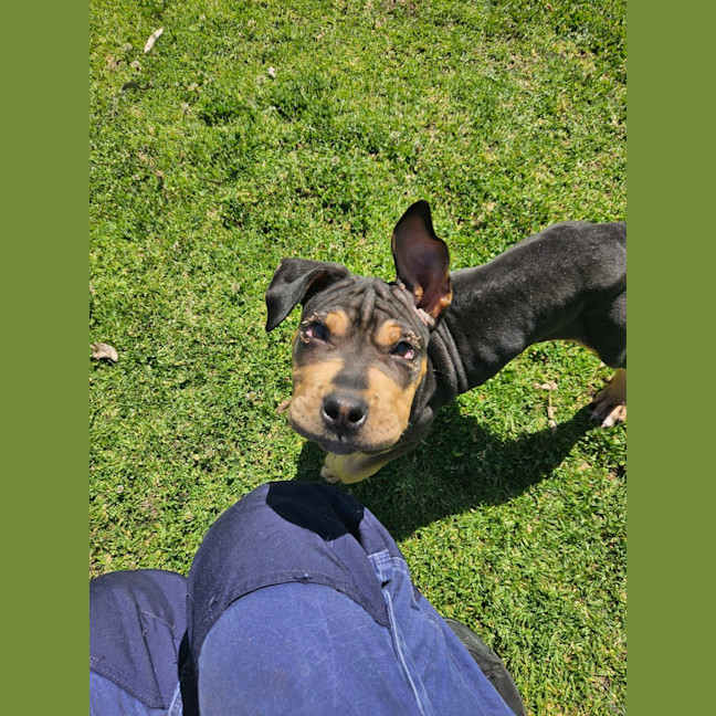 Photo of Sooty