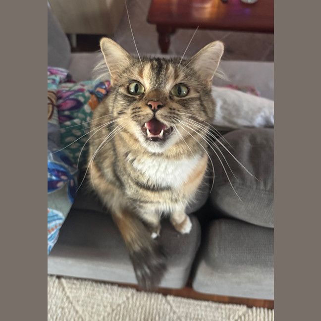 Photo of Samara Mae 