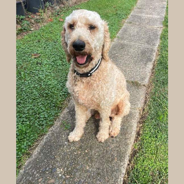 Photo of Murphy