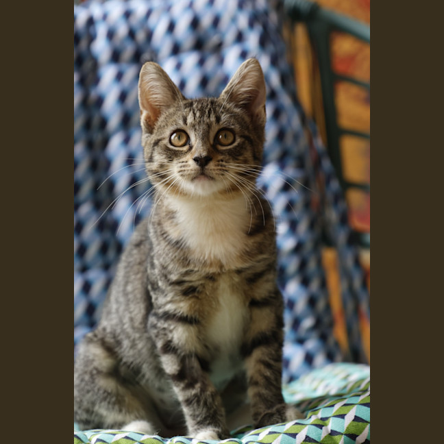 Photo of 💖💖💖Sage, T1 And W💖💖💖