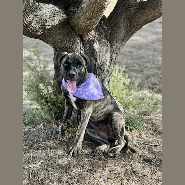 Photo of Lucy