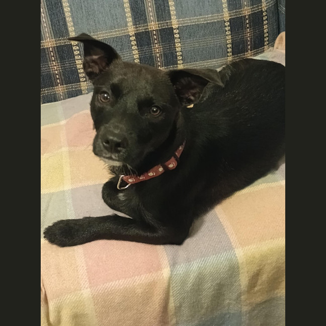 Photo of Lucy (Was Nyx)