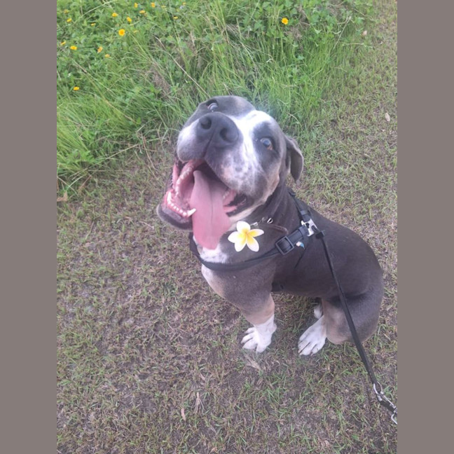 Photo of Buddy Two