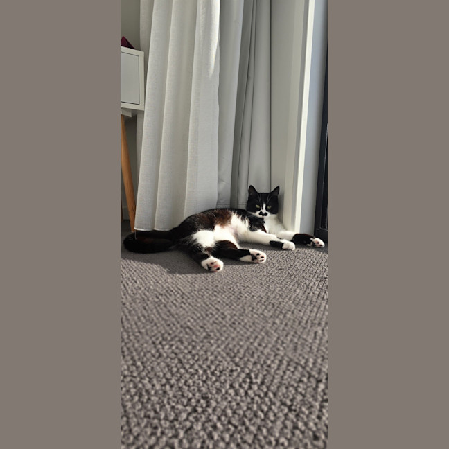 Photo of Sugar
