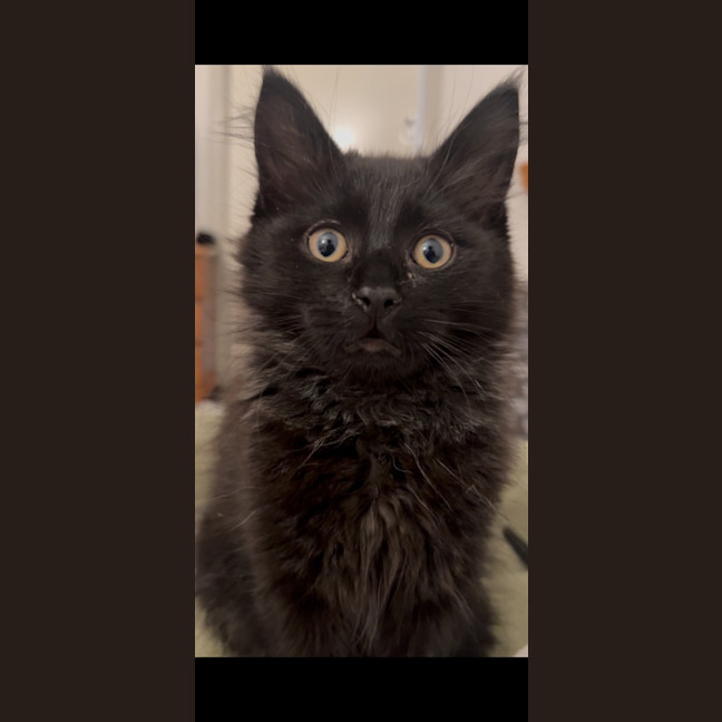 Photo of Tylenol Aka Ty