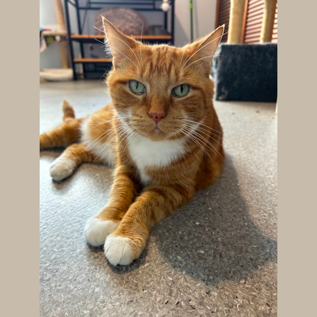 Photo of George 