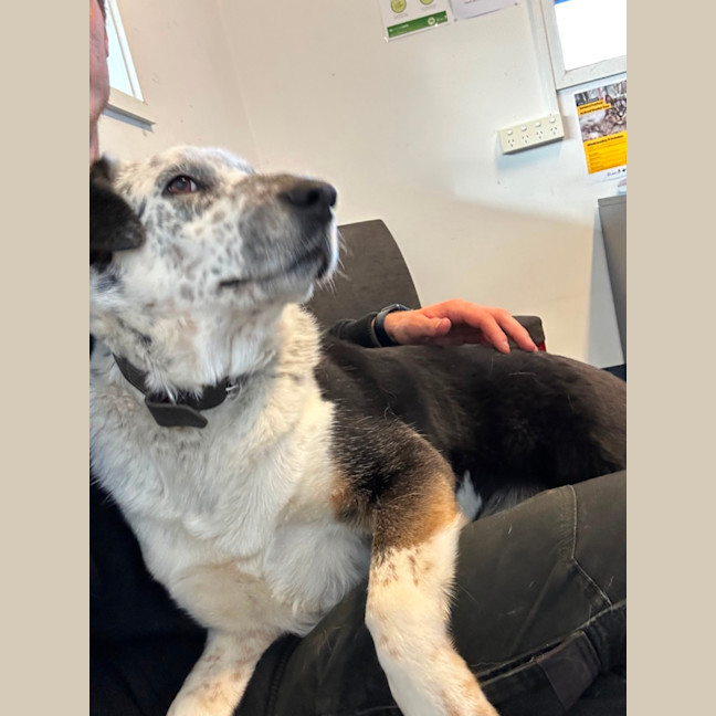 Photo of Kung Fu Panda 