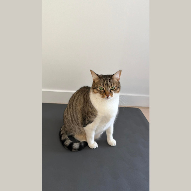 Photo of Cora 