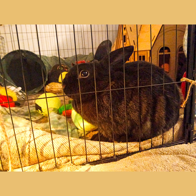 Photo of Dutchess