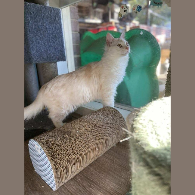 Photo of Mr Wimberley 