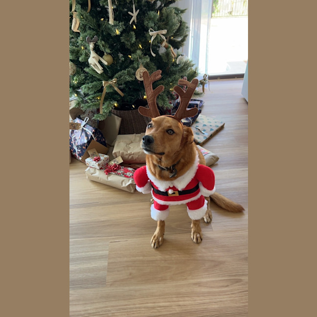 Photo of Ted 