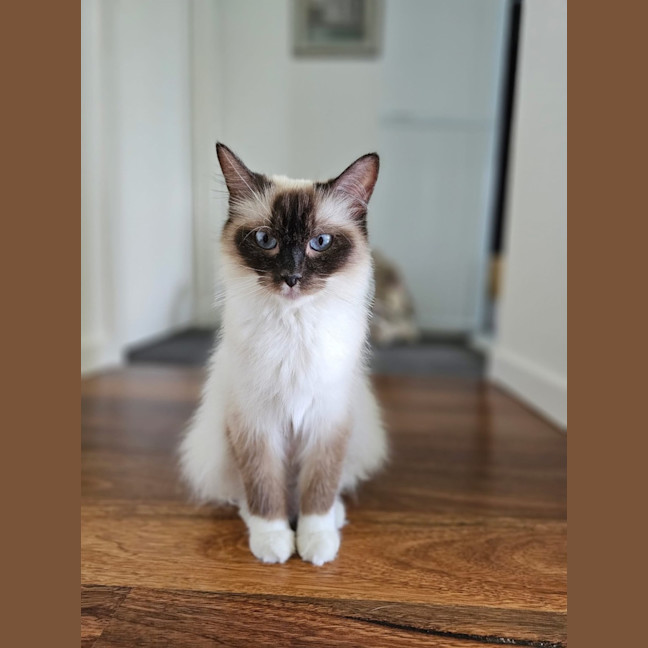 Photo of Camila & Venus