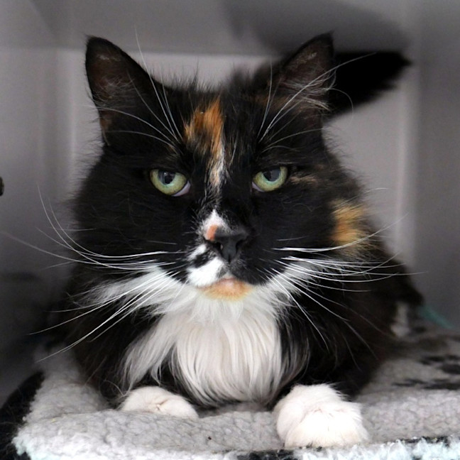 Photo of Felicity Sua014702