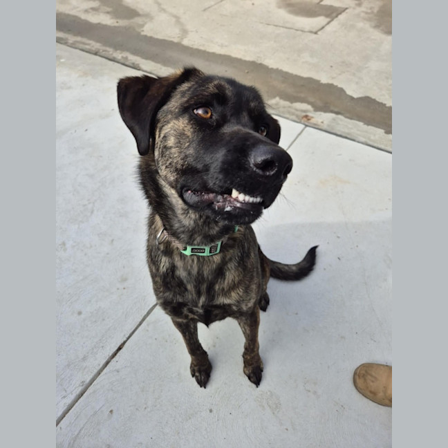 Photo of Whisky 🥃