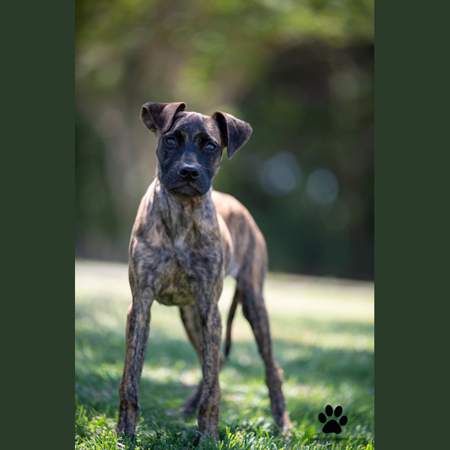 Photo of Maggie