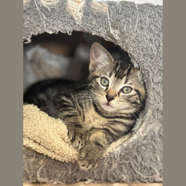 Photo of Huck