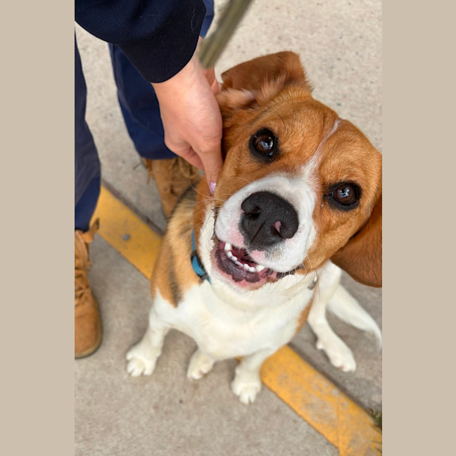 Photo of Buster