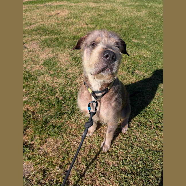 Photo of Sheila