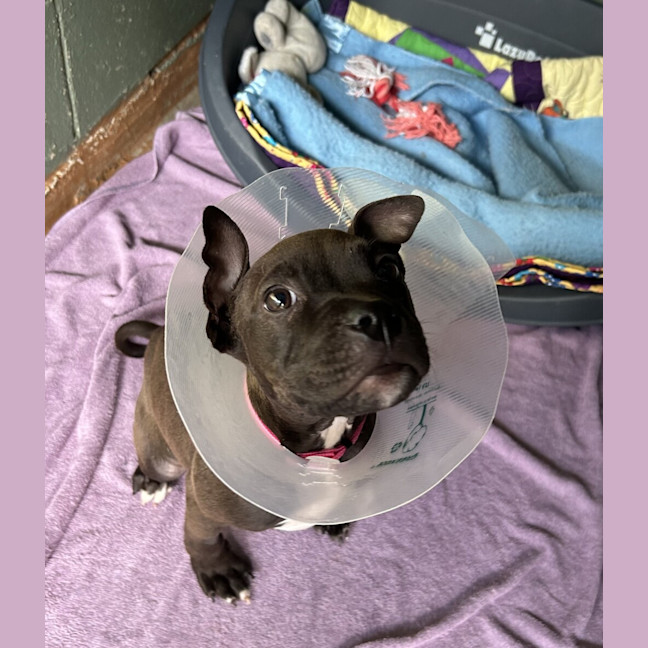 Photo of Ella